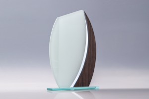 Frosted glass and wood grain trophy