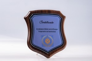 Wooden shield style trophy