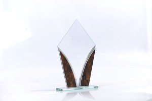 Exquisite graphic crystal glass trophy