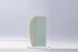 Frosted glass and wood grain trophy