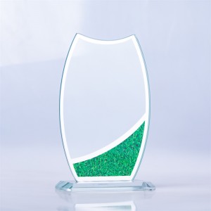 Exquisite graphic crystal glass trophy