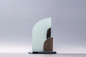 Frosted glass and wood grain trophy