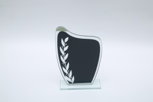 Exquisite graphic crystal glass trophy