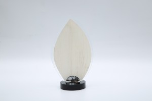 Wooden Crystal Trophy Award New Design Customize