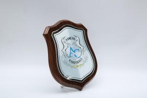Wooden shield style trophy