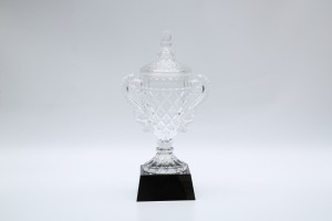 Premium glass trophy, crystal trophy and souvenir award