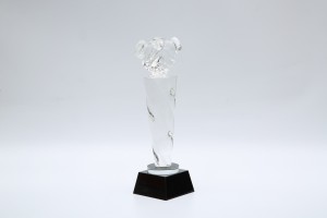 Premium glass trophy, crystal trophy and souvenir award
