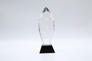 Premium glass trophy, crystal trophy and souvenir award