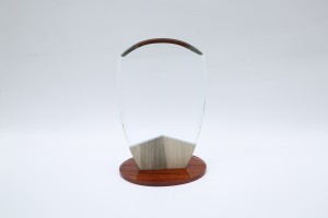 Wooden Crystal Trophy Award New Design Customize
