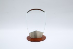 Noble creative wooden crystal glass custom medal trophy