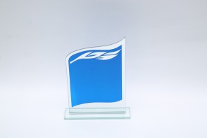 Exquisite graphic crystal glass trophy
