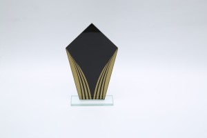 Exquisite graphic crystal glass trophy