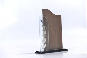 Customized attractive design blank wood with crystal trophy black crystal base